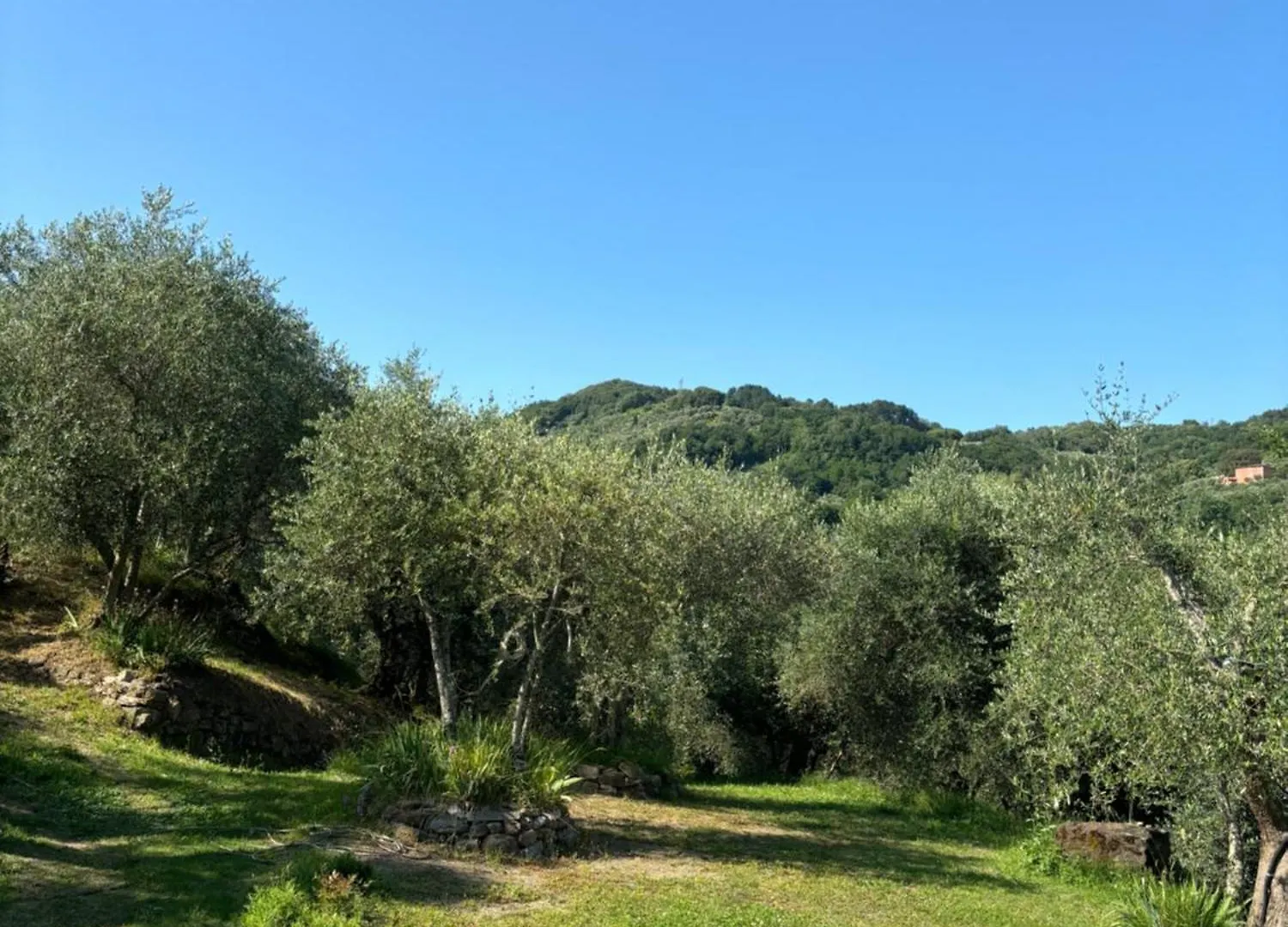 Le Capanne Di Torre Villa Lucca 0*,